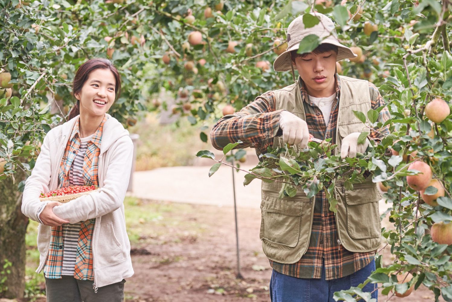 Khu vườn nhỏ - Little Forest (2018)