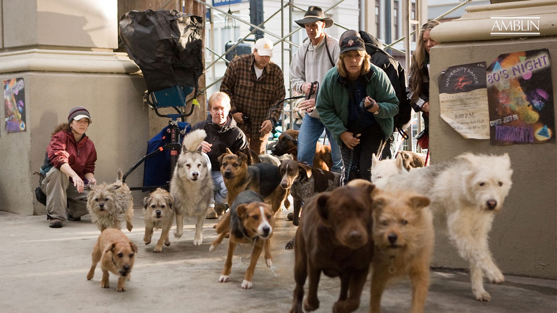 Khách sạn cún cưng - Hotel For Dogs (2009)