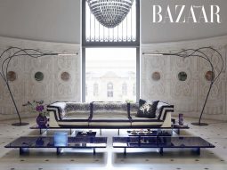 Roche Bobois