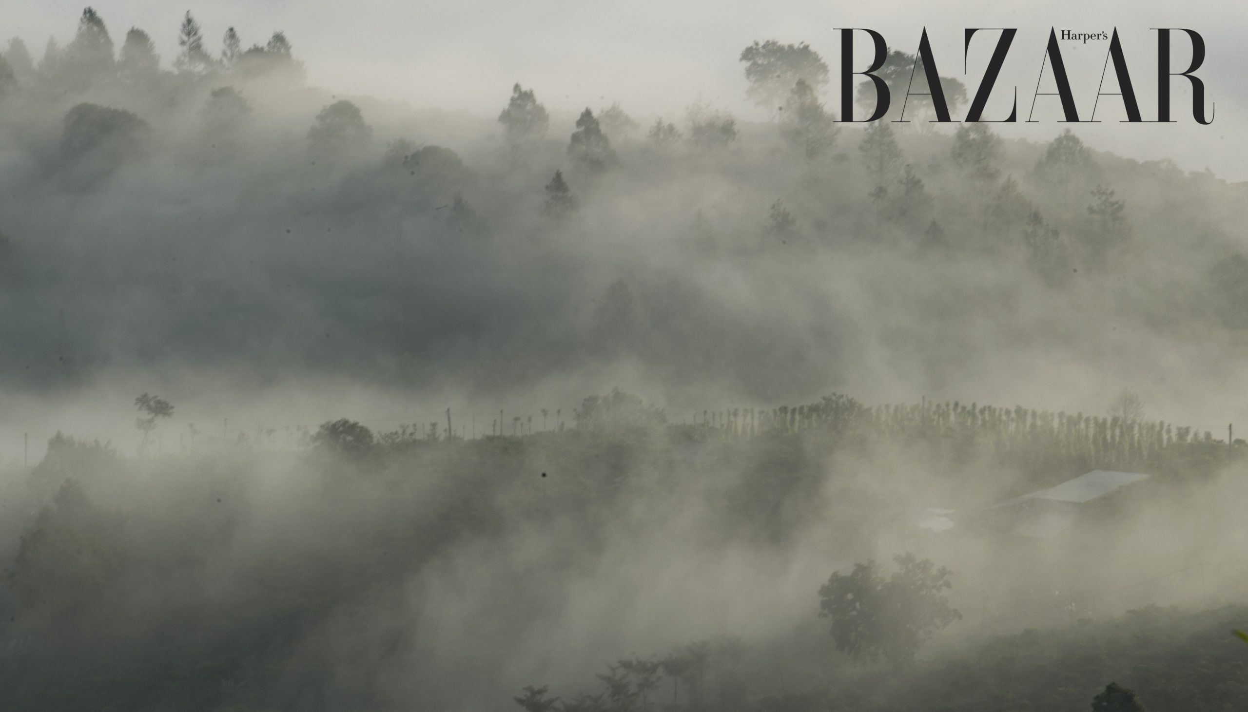 Harper's Bazaar_Chùa Linh Quy Pháp Ấn_05