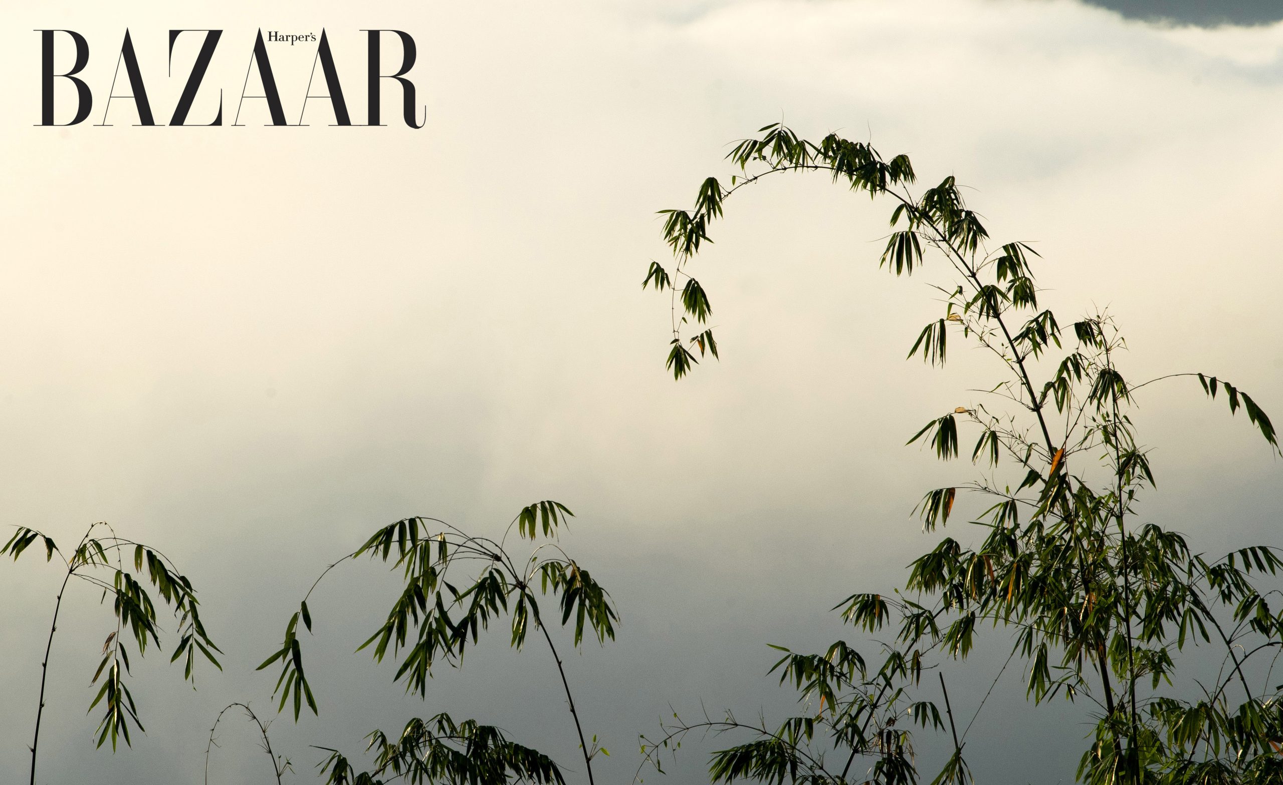 Harper's Bazaar_Chùa Linh Quy Pháp Ấn_04
