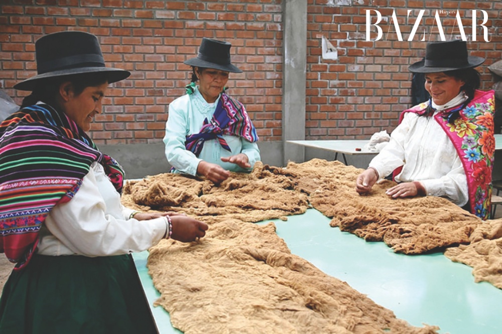 Chế biến lông Vicuña sau khi xén. Ảnh: Bruna Rotunno, courtesy of Loro Piana
