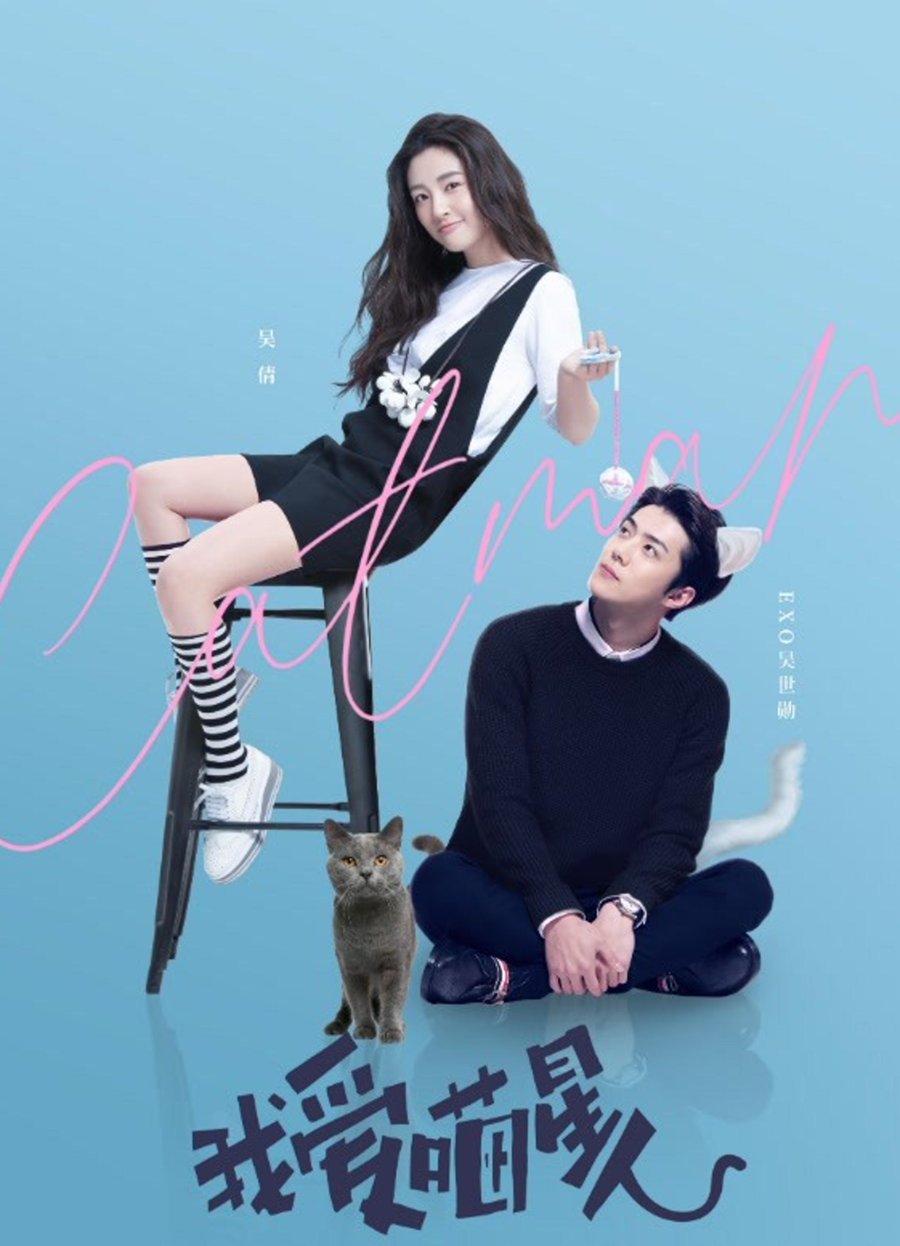 Tôi yêu miêu tinh nhân - I love catman (2021)