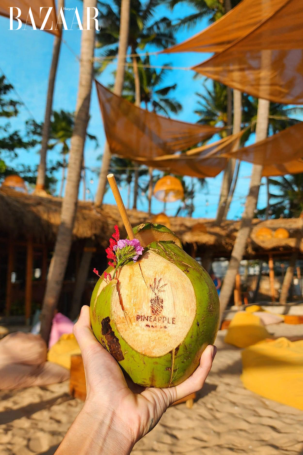 Harper's Bazaar_Check-in 5 quán cà phê đẹp nhất Phan Thiết_17