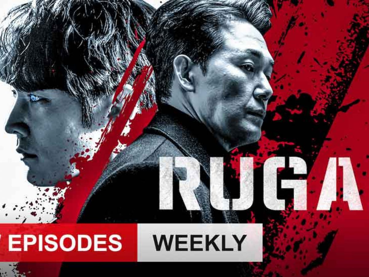 Tổ chức Rugal - Rugal (2020)