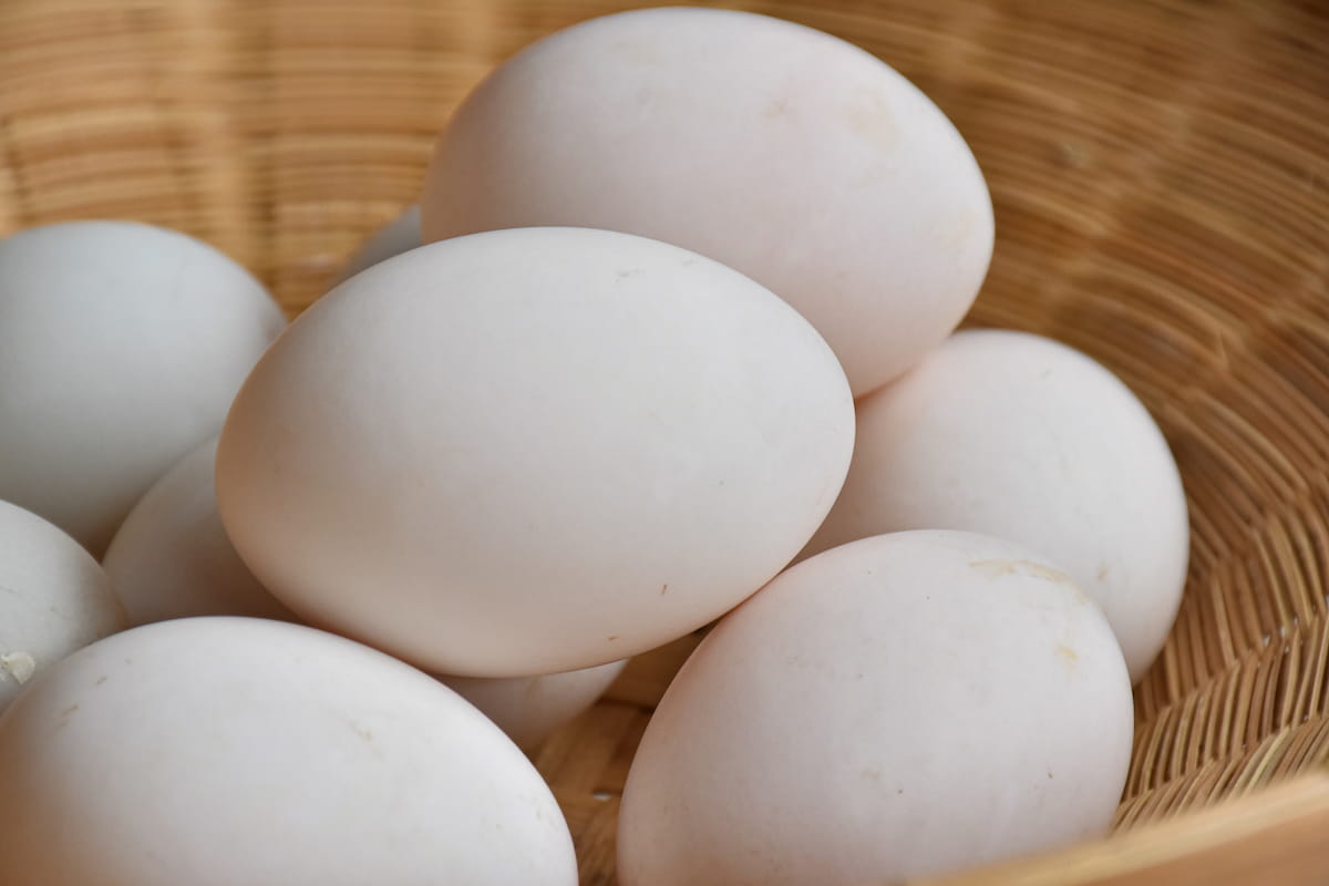 Trứng gà và vịt đều có nguy cơ gây dị ứng