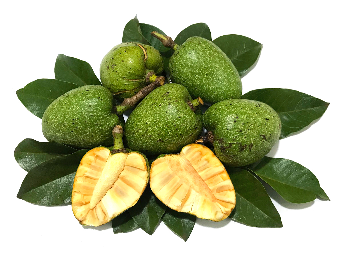 Bình bát kỵ gì? Lưu ý khi sử dụng bình bát