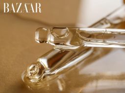 Tìm hiểu về squalane và axit hyaluronic