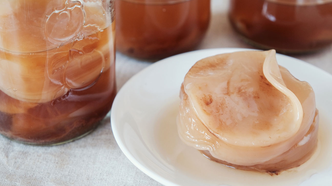 Cách làm scoby