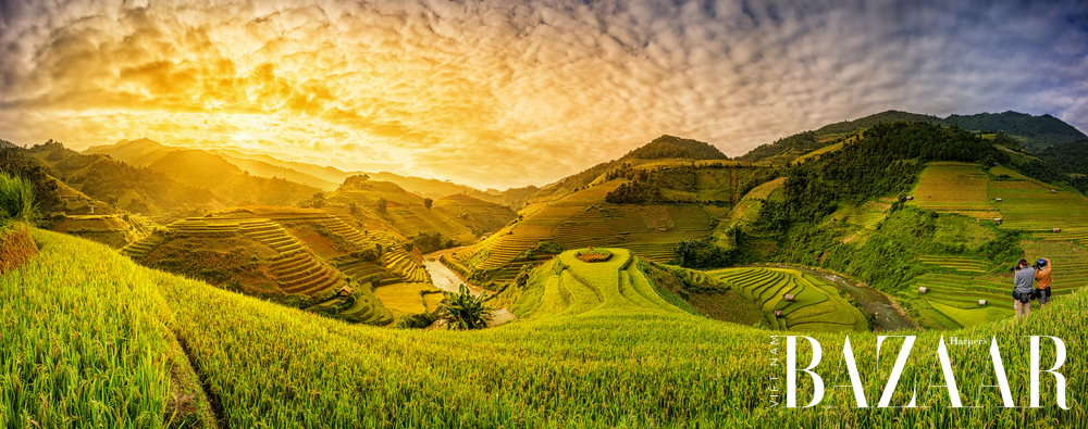 ruộng bậc thang sapa 
