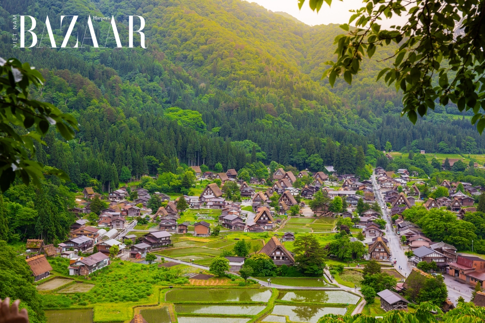 Làng cổ Shirakawago ở đâu?