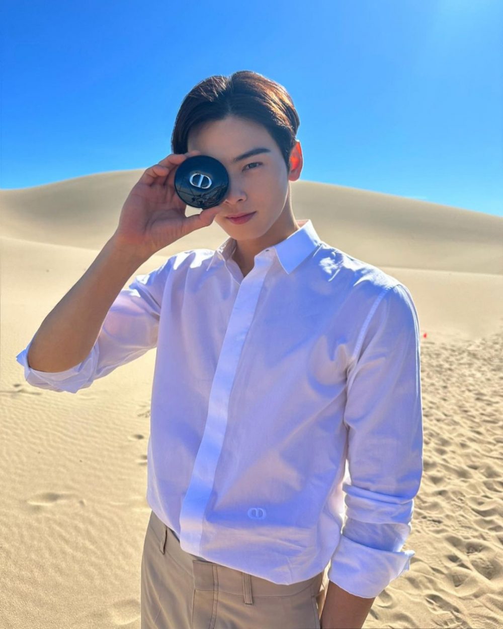 Cha Eun Woo