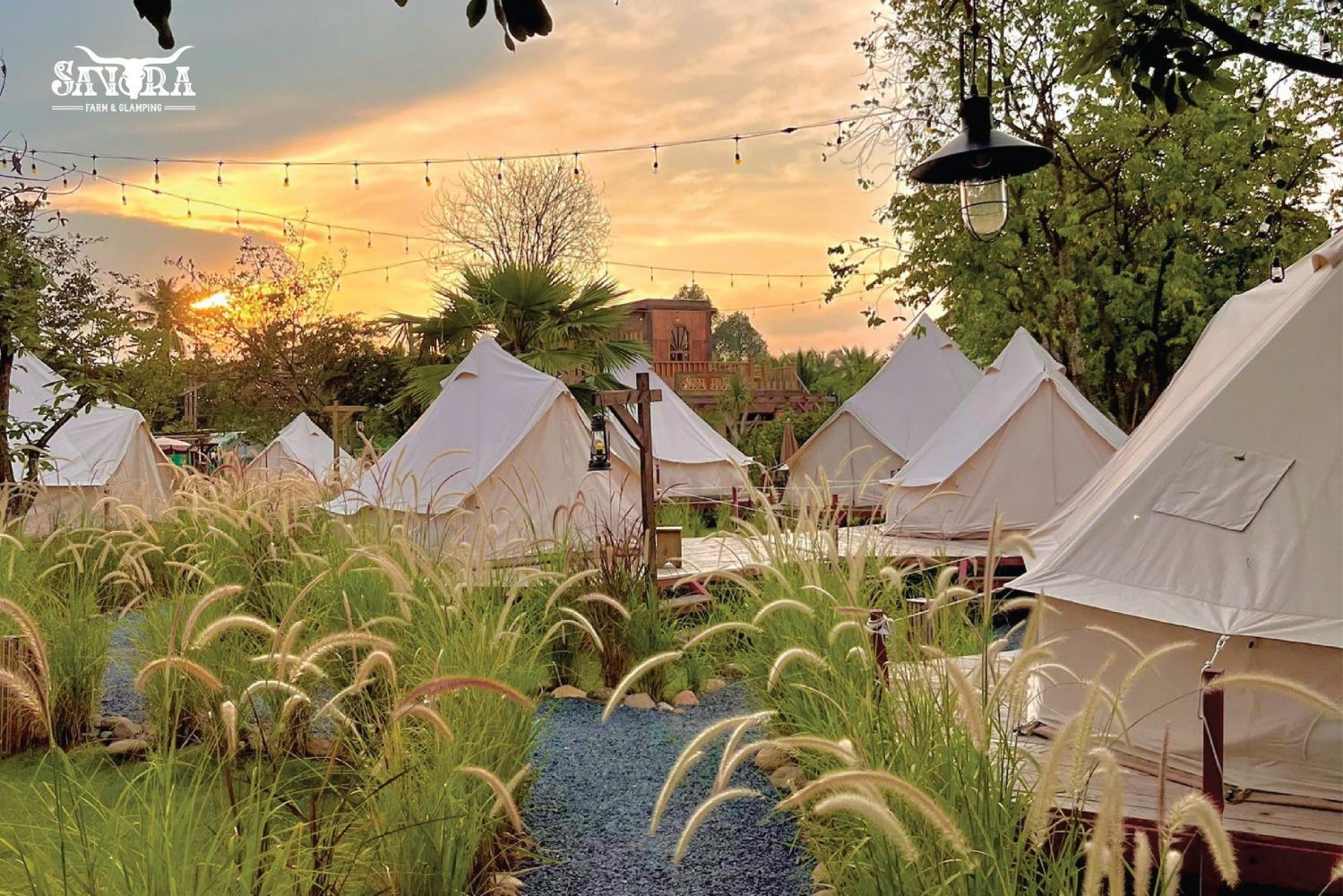Savora Farm & Glamping - Top 10 quán cafe đẹp nhất Sài Gòn