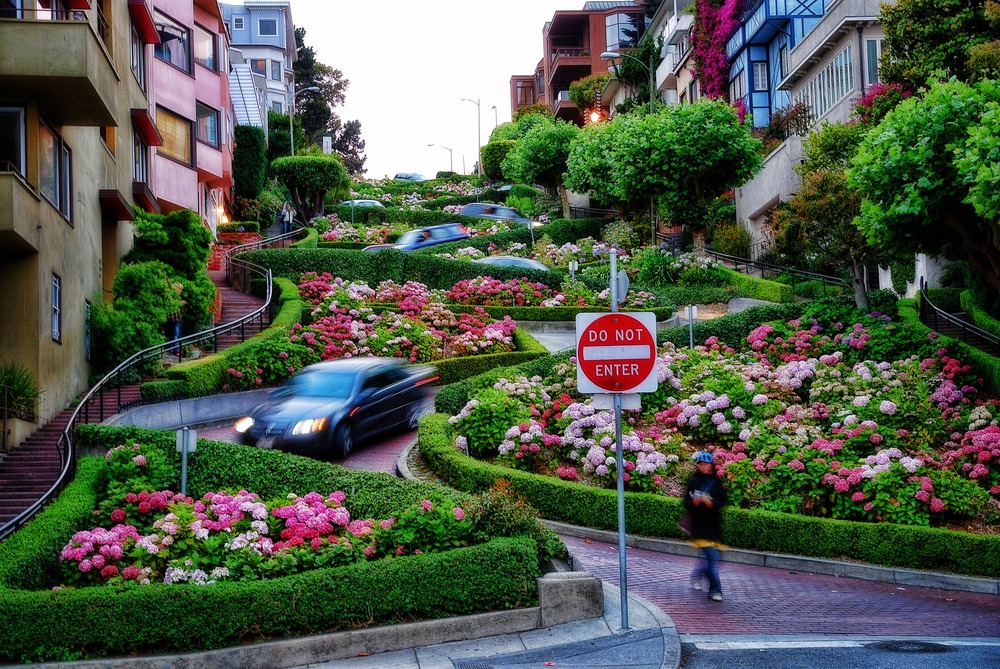 Đường hoa Lombard Street tại thành phố San Francisco
