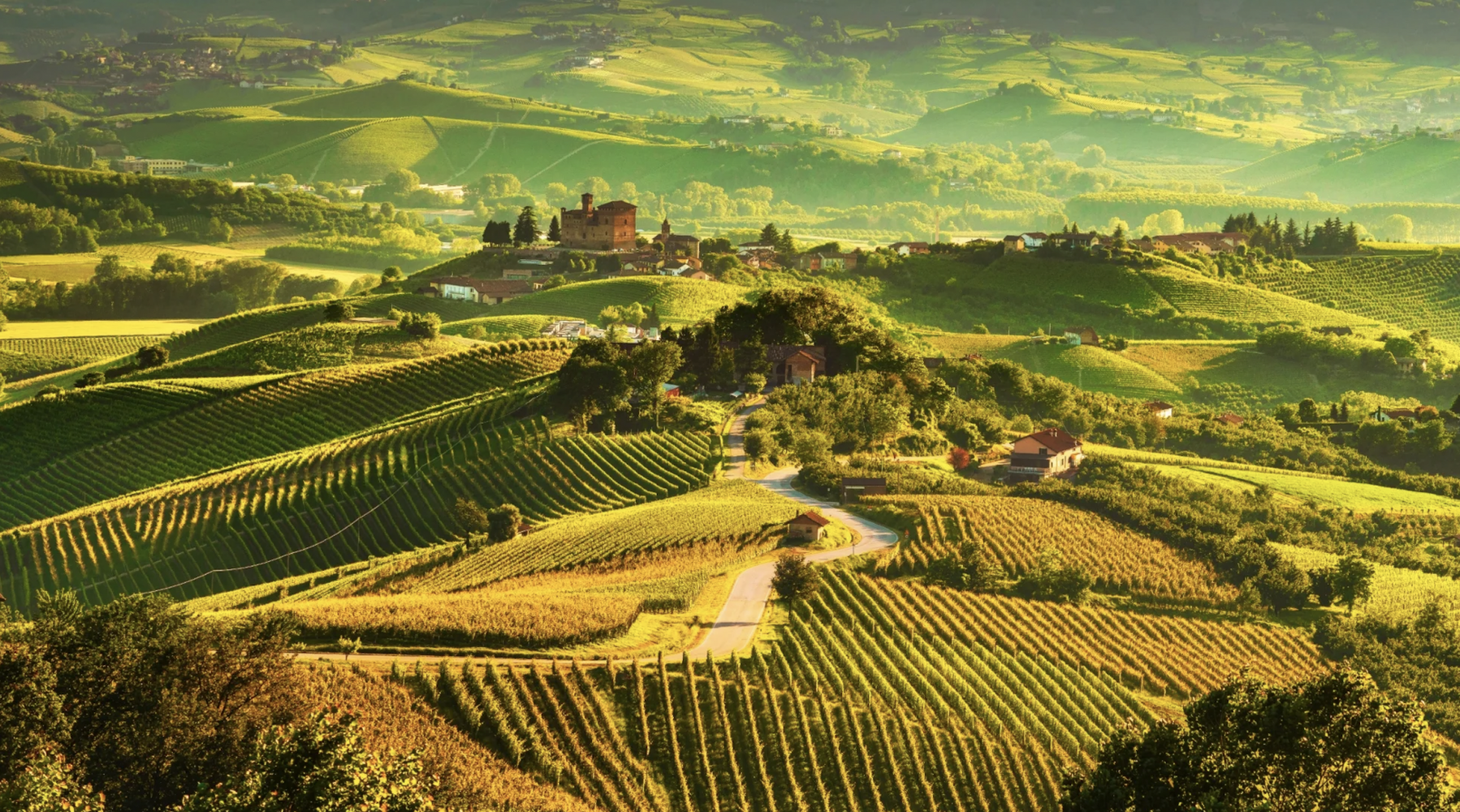 Piedmont có các vùng rượu vang nổi tiếng nào?