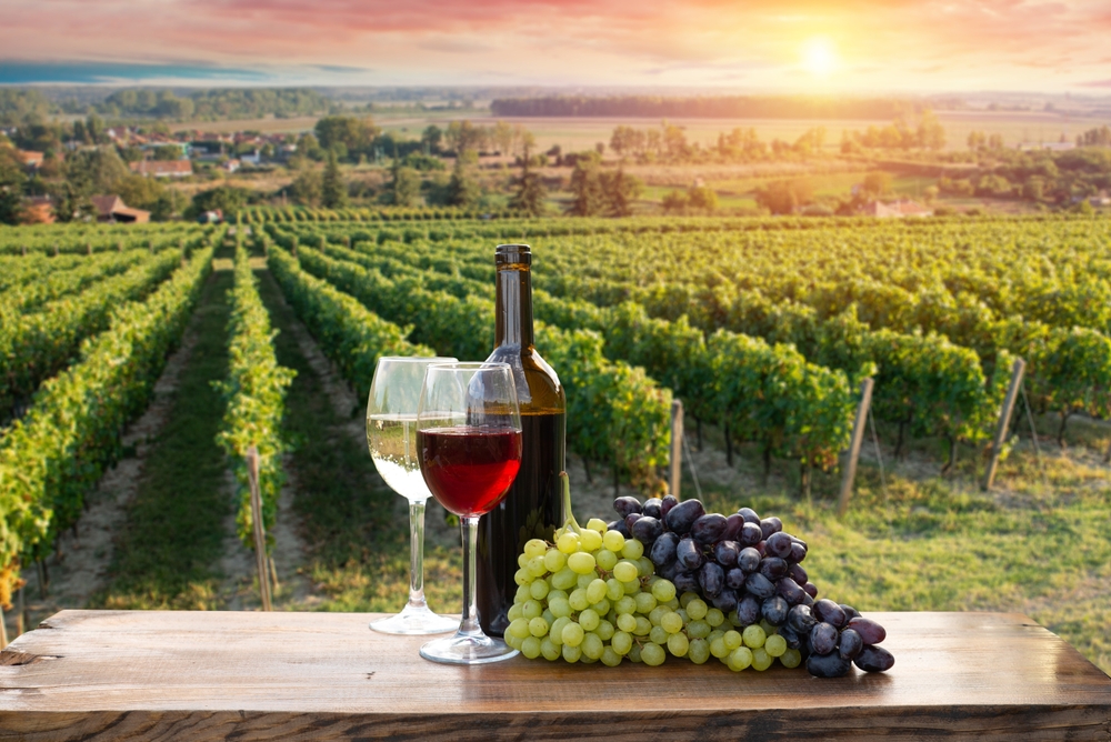 Khí hậu và thổ nhưỡng các vùng rượu vang ở Tuscany