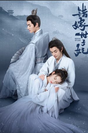 Destiny of Love รักสลับบัลลังก์ ซับไทย Ep.1-24 (จบ)