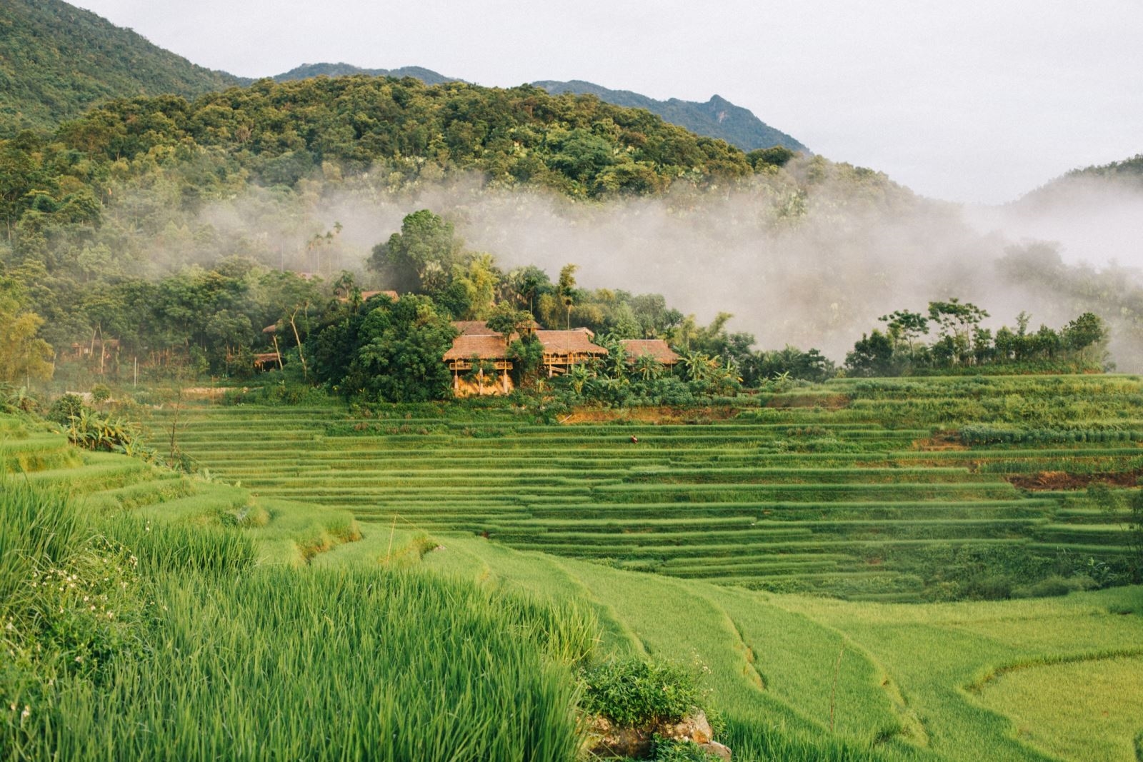 Gợi ý lịch trình du lịch Thanh Hóa 2 ngày 1 đêm cho bạn