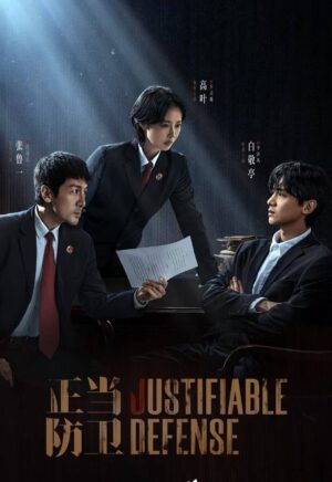 Justifiable Defense ผู้ต้องไม่หา ซับไทย Ep.1-16