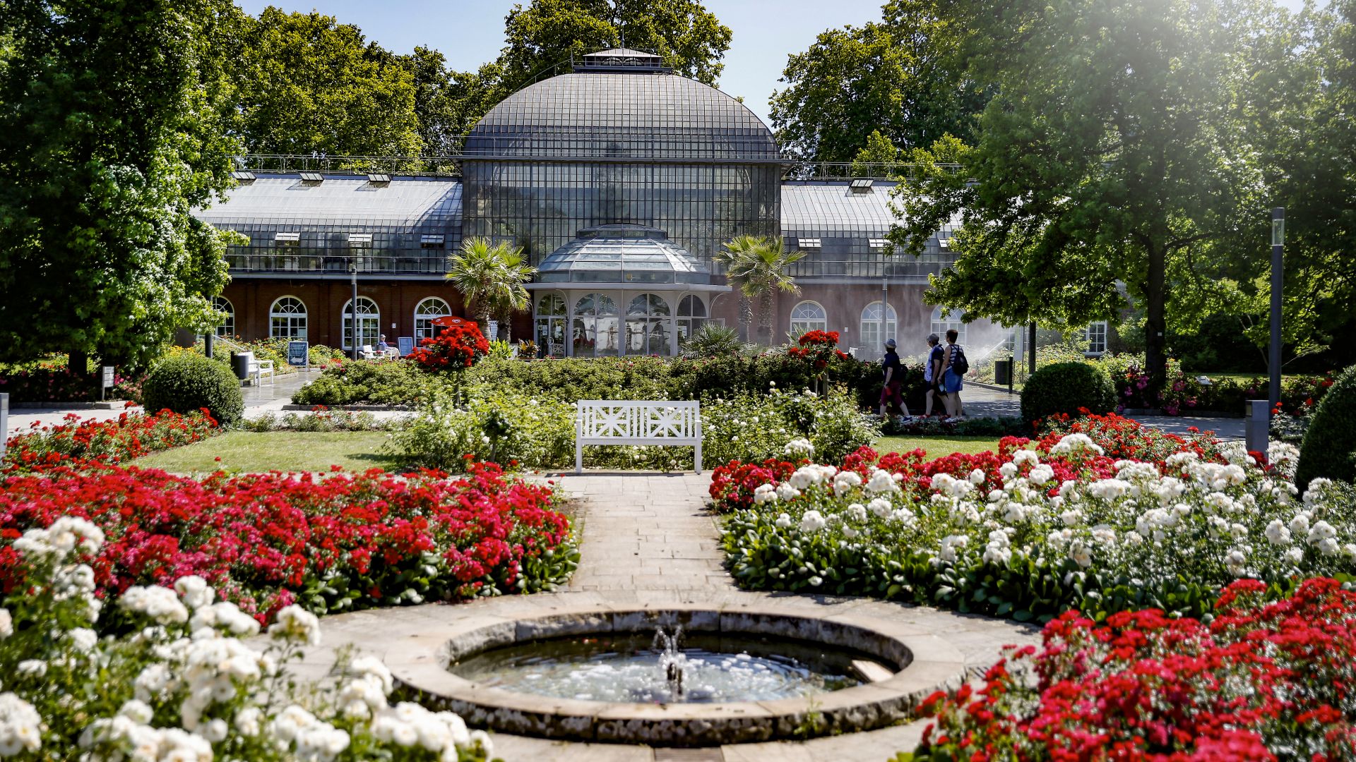 Du lịch Frankfurt: Hòa mình vào thiên nhiên tại PalmenGarten