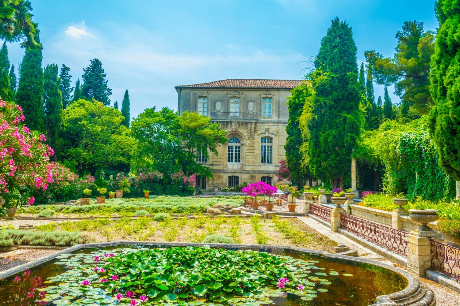 Du lịch Avignon dạo bước trong một khu vườn kiểu Provence