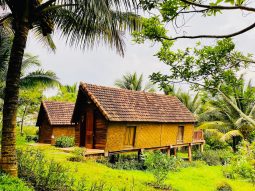 Một ngày ở Kotam: hít thở rừng tre, nghe cồng chiêng và để lòng lặng lại
