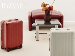 bzvn-rimowa-essential-clay-terracotta-thumb